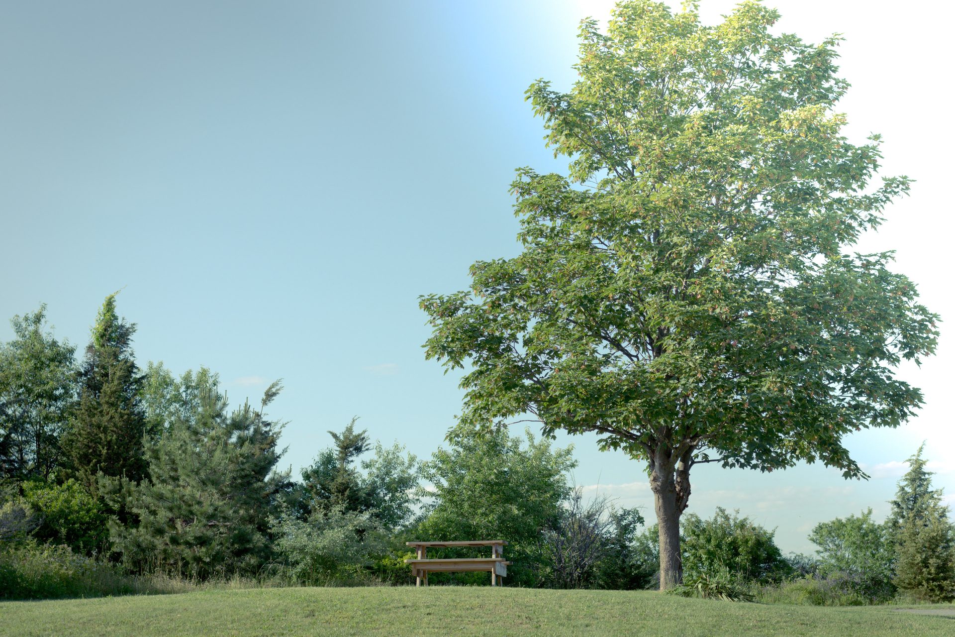 2013 — photograph 8 of 14