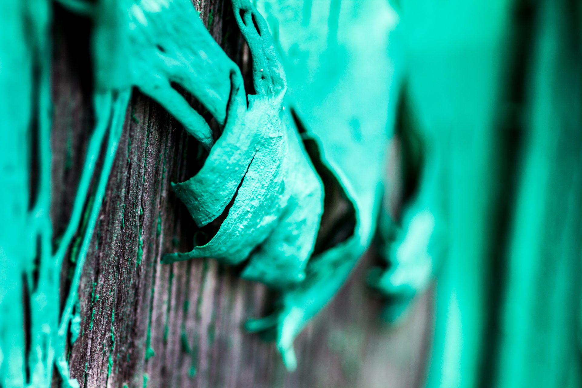 2014 — photograph 1 of 11