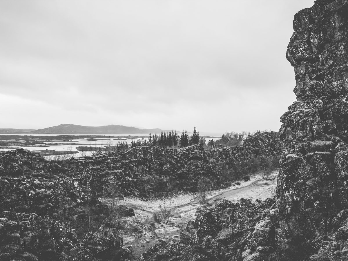 2016