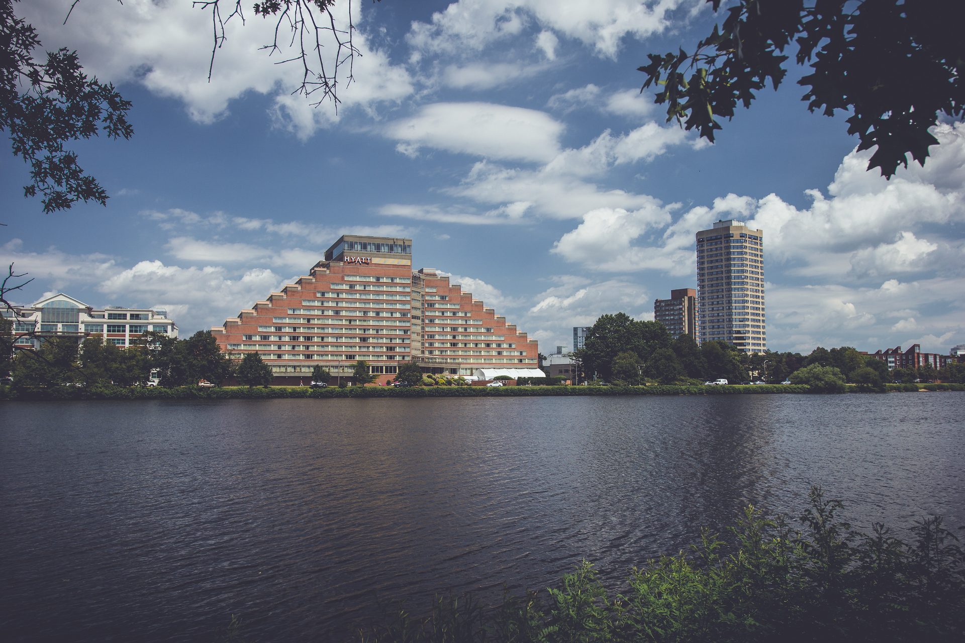 2015 — photograph 3 of 8