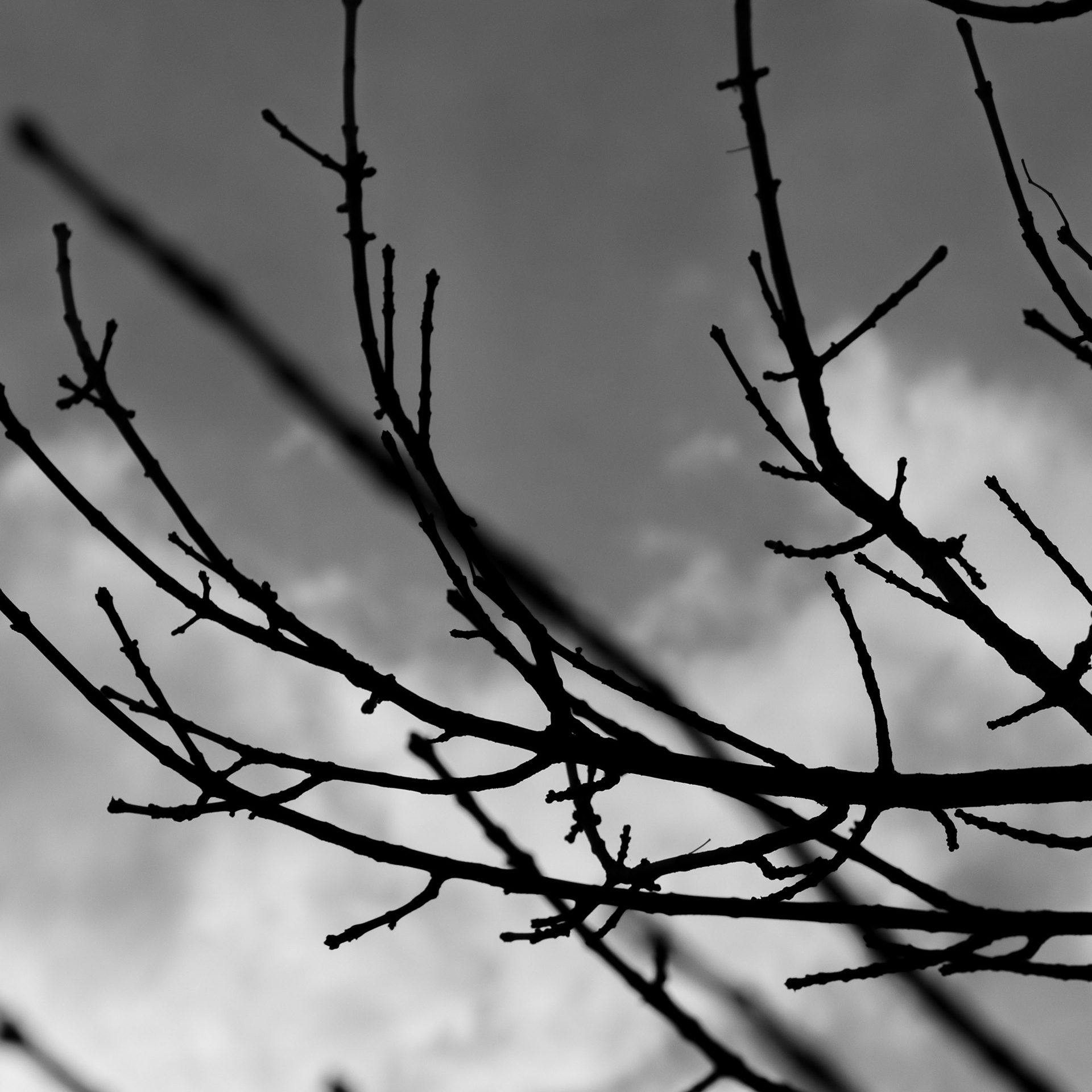 2013 — photograph 2 of 14