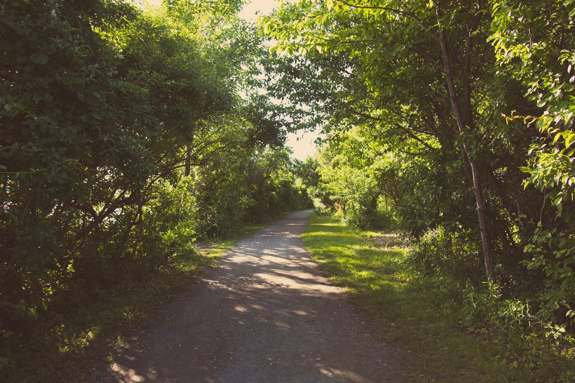 2013 — photograph 4 of 14