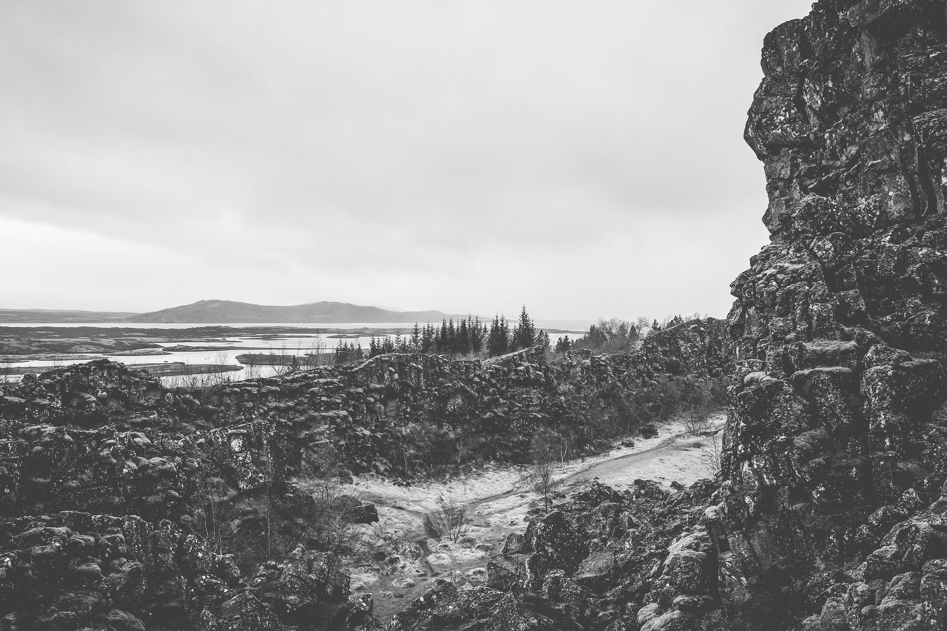 2016 — photograph 1 of 14