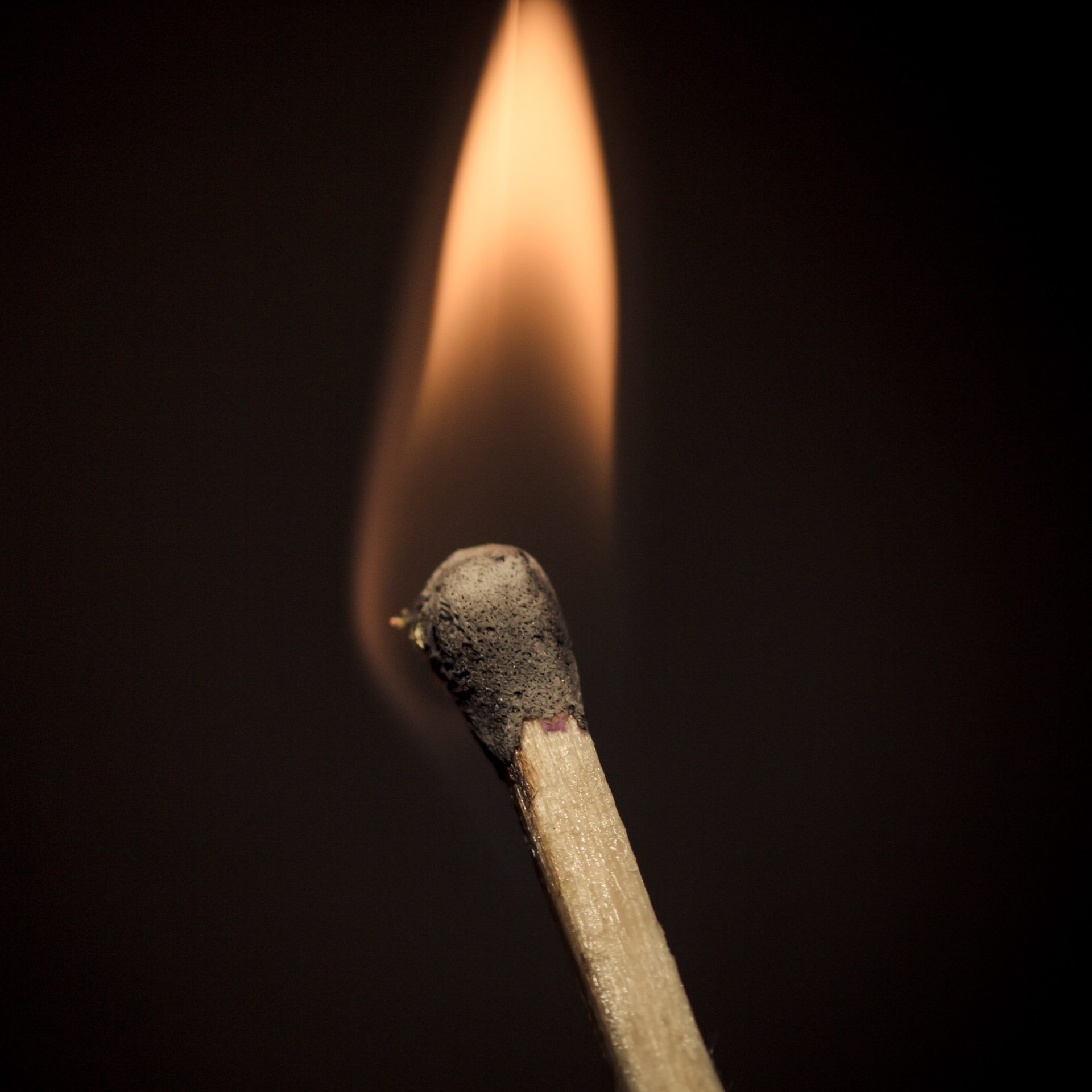 2015 — photograph 6 of 8