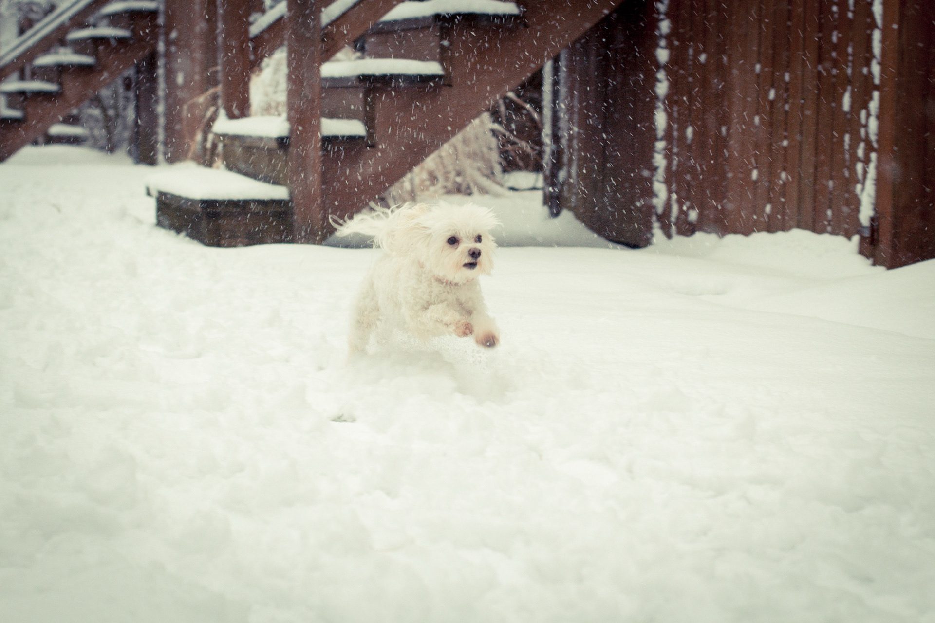 2015 — photograph 8 of 8