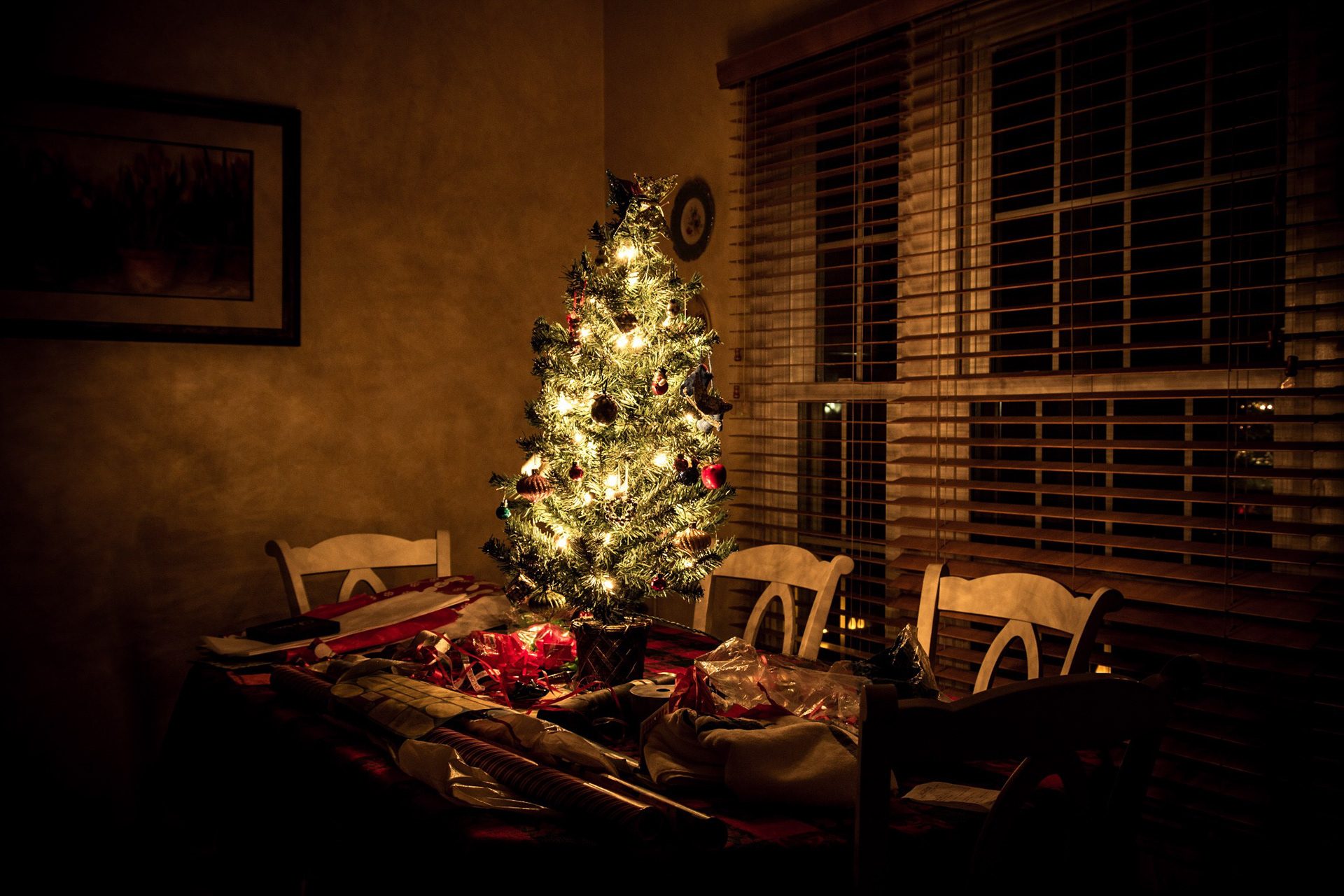 2015 — photograph 4 of 8