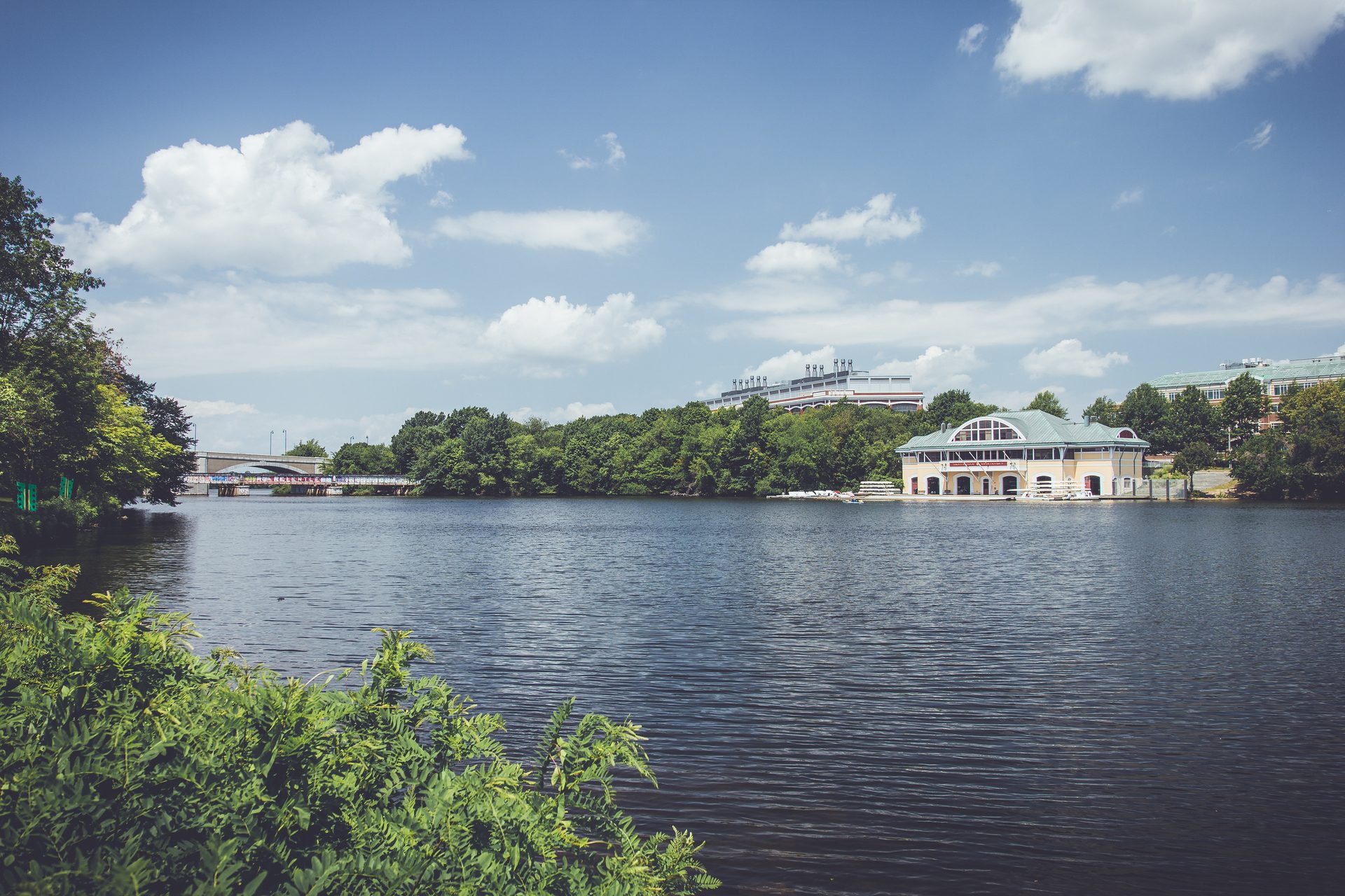2015 — photograph 2 of 8